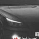 Дмитрий, 35 лет